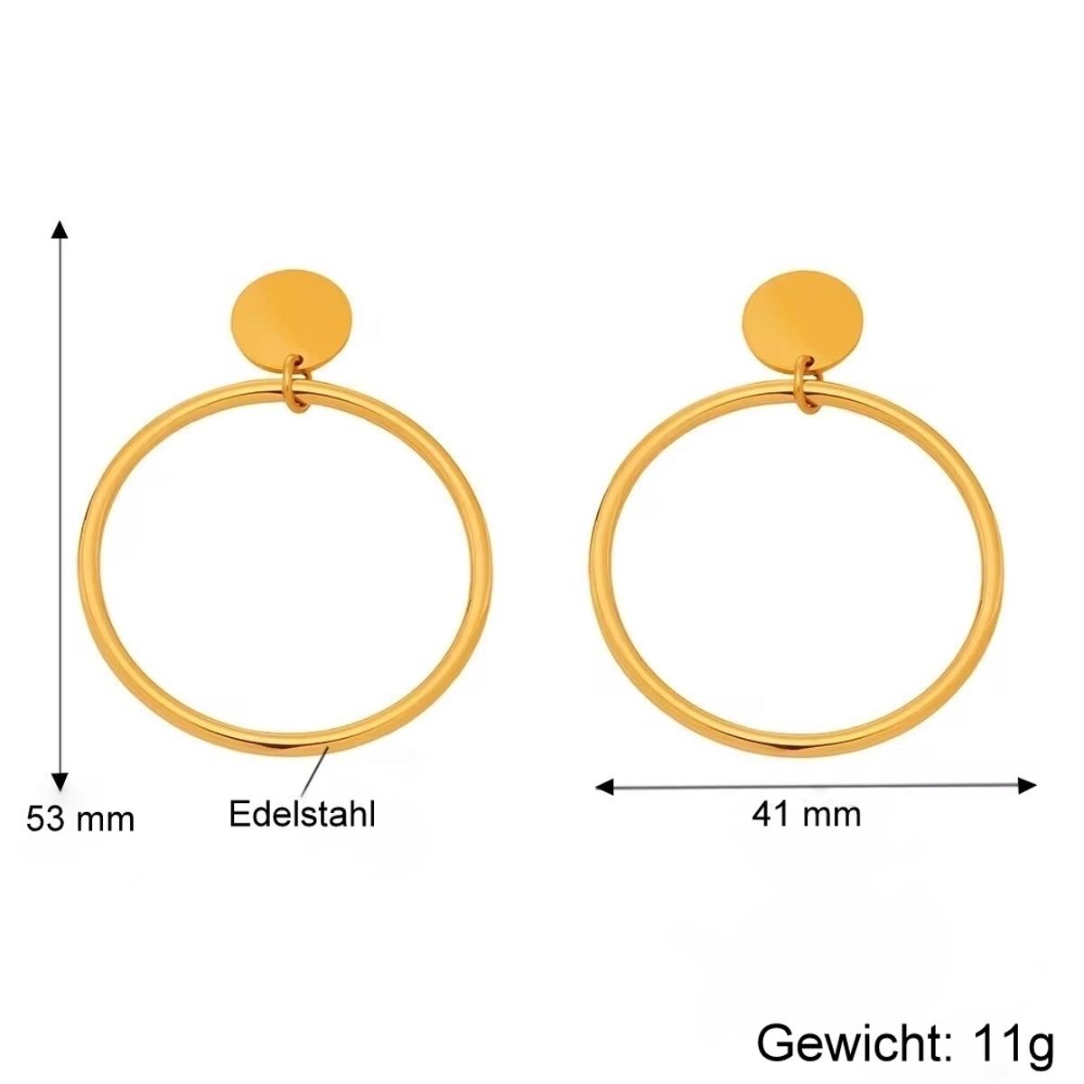 Sparkle Harmony Ohrringe O6369D